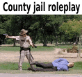 a police officer is pointing a gun at a man who is laying on the ground .