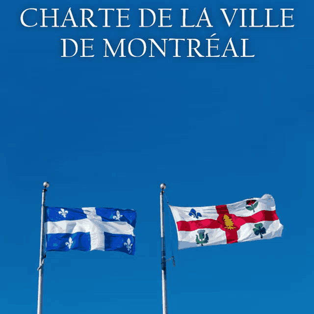 Montreal Montréal GIF - Montreal Montréal Mtl GIFs