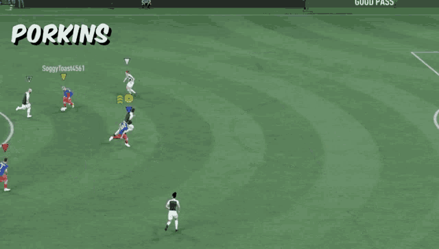 a group of soccer players on a field with the word porkins on the bottom