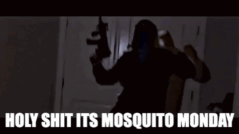 Lil Mosquito Disease Flex Entertainment GIF - Lil Mosquito Disease Flex Entertainment Flex Gang GIFs