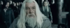 Gandalf Lotr GIF - Gandalf Lotr Lord Of The Rings GIFs