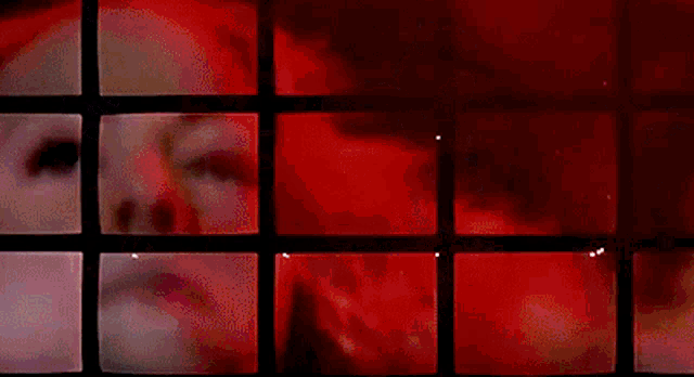 a woman 's face is visible through a grid of red squares on a television screen .