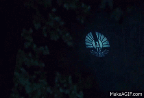 Hunger Games GIF - Hunger Games Tribute GIFs