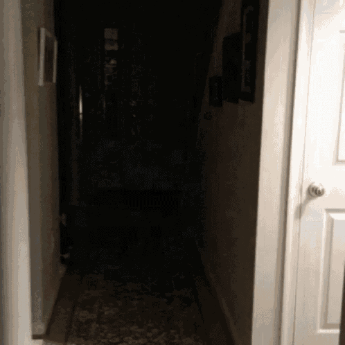 a dark hallway with a rug on the floor and a door