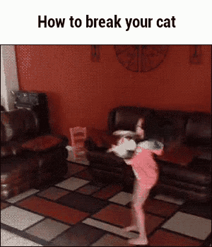 a little girl is standing in front of a couch in a living room with the words how to break your cat above her .