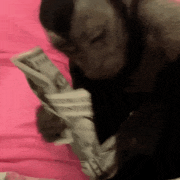 a person is laying on a bed holding a bunch of money in their hands .