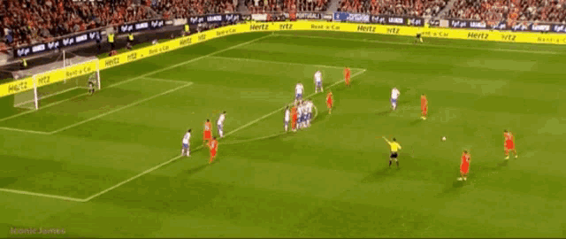 a soccer game is being played on a field with a hertz advertisement