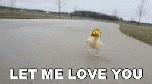 a picture of a duck on a road with the words let me love you