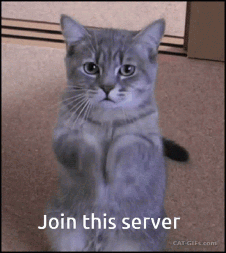 Join This Server Join Discord GIF - Join This Server Join Discord Join GIFs