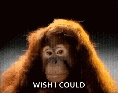 a close up of an orangutan with the words `` wish i could '' written on the bottom .