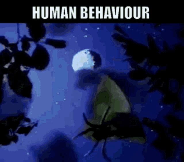 Bjork Human Behaviour GIF - Bjork Human Behaviour 90s Music GIFs