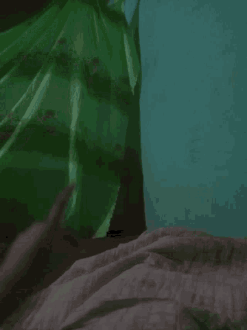 a close up of a person holding a green plant