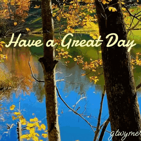 a have a great day greeting card with trees and a lake in the background