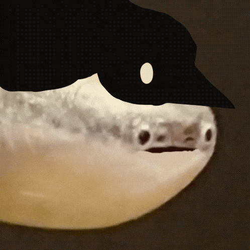 a drawing of a fish wearing a baseball cap