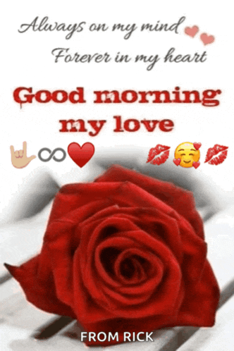a picture of a red rose with a good morning message from rick