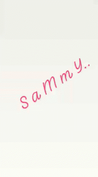 Name Sammy GIF - Name Sammy Heart GIFs