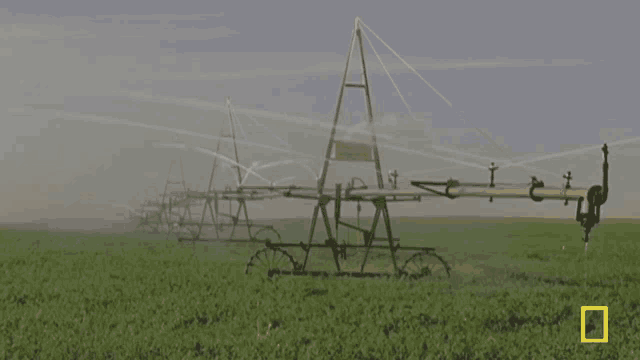 Watering Crops Farming GIF - Watering Crops Farming Sustainability GIFs
