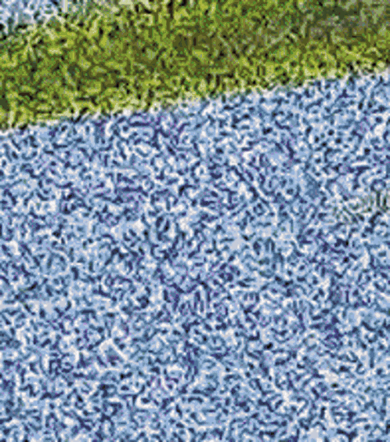 a close up of a blue and green carpet with a slight grainy texture
