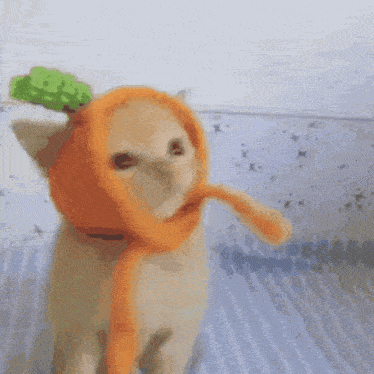 a cat wearing a carrot hat and scarf .