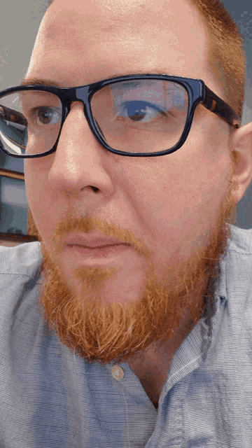 a man with a beard wearing glasses looks at the camera