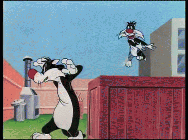 Stop Rushing Me! GIF - Sylvester Mini Slyvester Cat GIFs