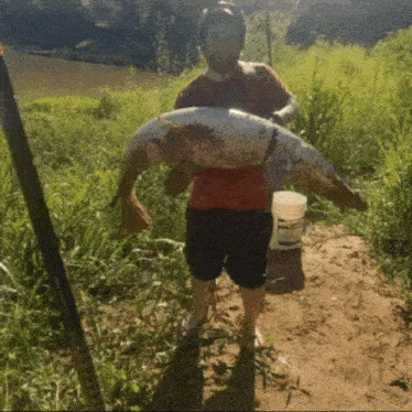a man in a red shirt is holding a large fish in his hands