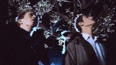 two men are looking up at a tree with leaves