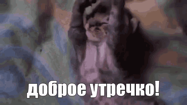 a close up of a monkey with the words `` доброе утрочко '' written in russian .