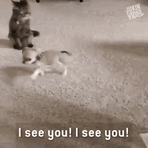 I See You Got My Eyes On You GIF - I See You Got My Eyes On You Im Watching You GIFs
