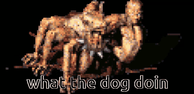 a pixel art image of a dog with the words what the dog doin below it