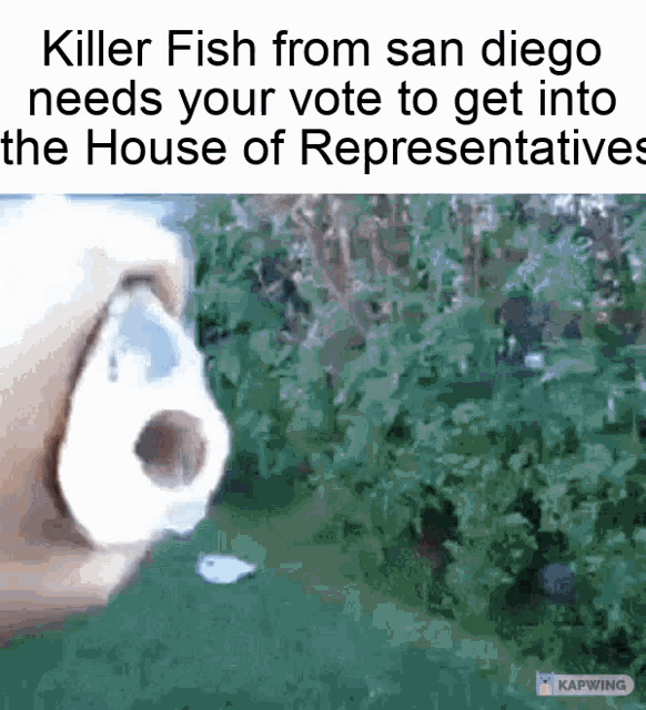 killer fish from san diego needs your vote to get into the house of representatives .
