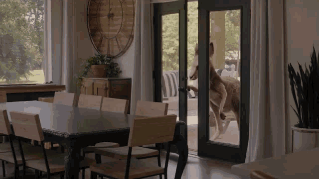 a kangaroo is jumping out of a sliding glass door in a dining room