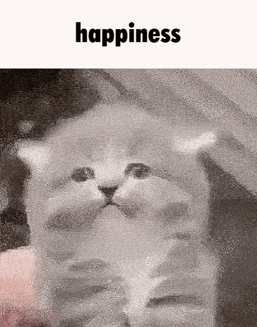 Happiness Oh Hes Not Happy GIF - Happiness Oh Hes Not Happy GIFs
