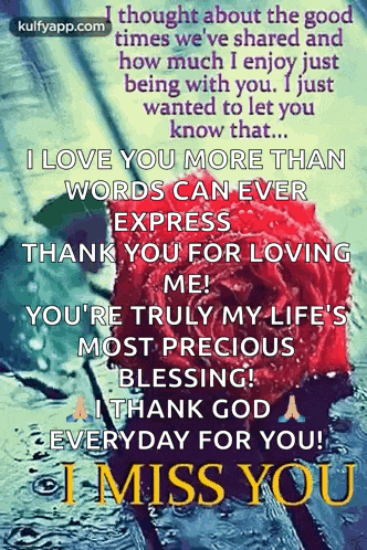 a picture of a red rose with the words i love you more than words can ever express thank you for loving me !