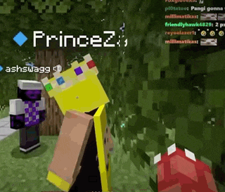a screenshot of a video game with the name princez written on it