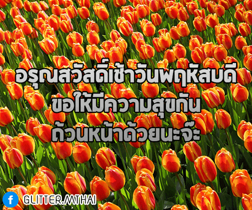 a bunch of orange flowers with the words glitter.mthai in the corner