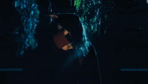 a person in a dark room with a tree behind them