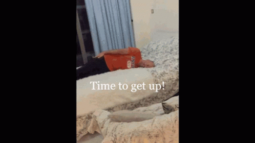 Wake Up Get Up GIF - Wake Up Get Up Time To Get Up GIFs