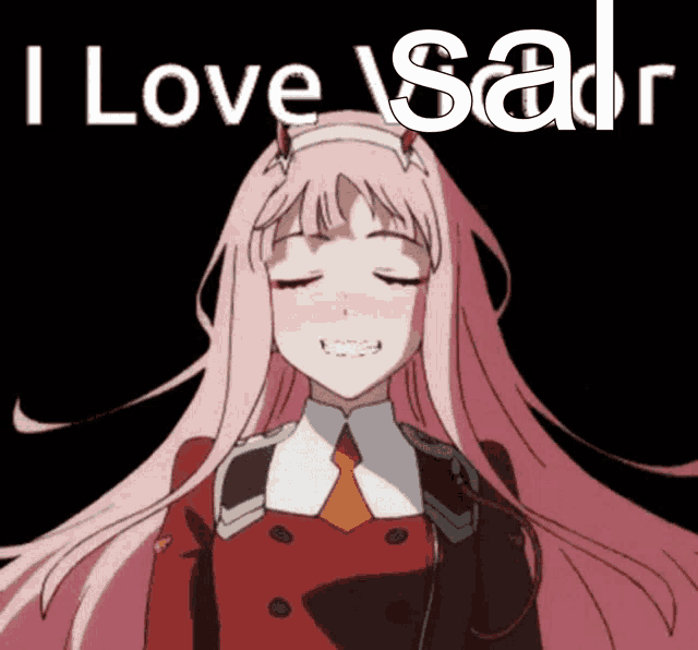 a picture of a girl with pink hair and the words " i love sadir "