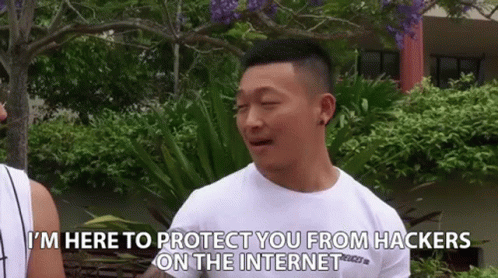 Im Here To Protect You From Hackers On The Internet Jamie Zhu GIF - Im Here To Protect You From Hackers On The Internet Jamie Zhu Protect GIFs