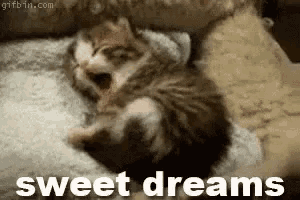 a kitten is yawning while laying on a bed with the words `` sweet dreams '' .