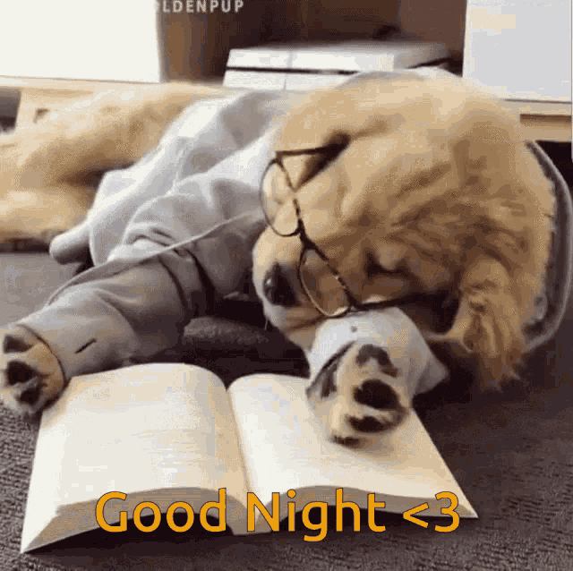Dog Good Night GIF - Dog Good Night GIFs