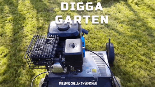 Sommer Digga GIF - Sommer Digga Garten GIFs