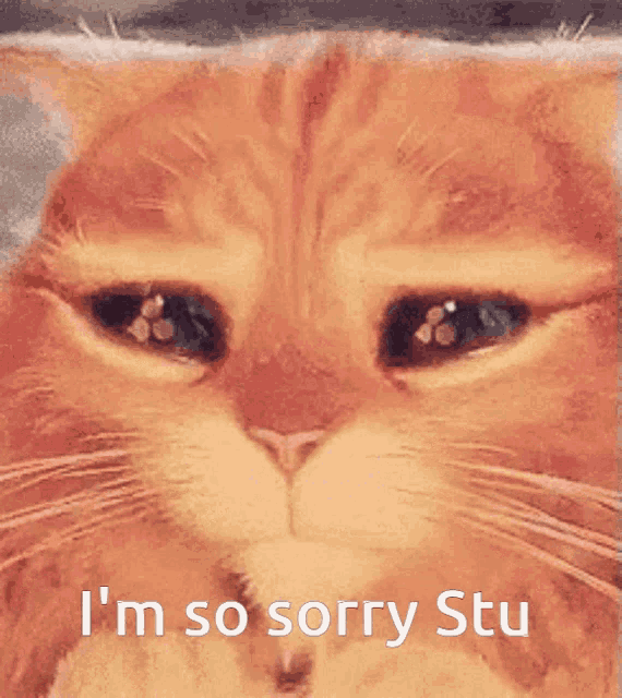 Stu Sorry GIF