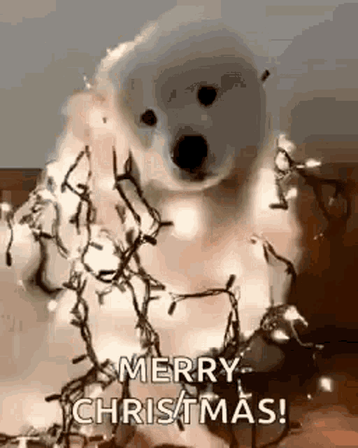 Dog Merry Christmas GIF - Dog Merry Christmas Christmas Lights GIFs