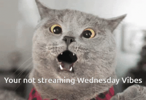Wednesday Vibes Stream GIF - Wednesday Vibes Stream Vibes GIFs