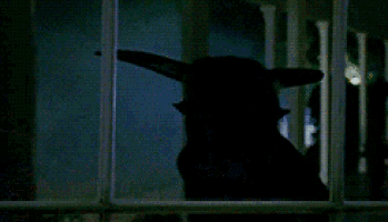 a woman is standing in front of a window with a reflection of her in it .
