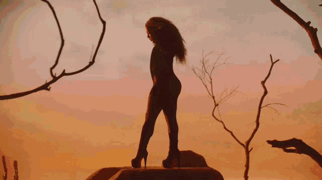 a silhouette of a woman standing on a rock with a tree in the background