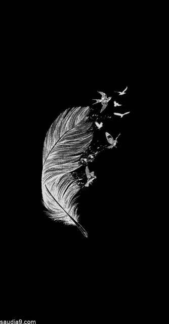 a black and white photo of a feather with birds flying out of it .