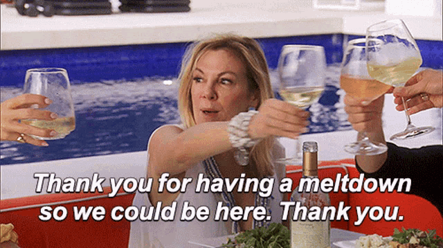 a group of people toasting with wine glasses and the words thank you for having a meltdown so we could be here thank you